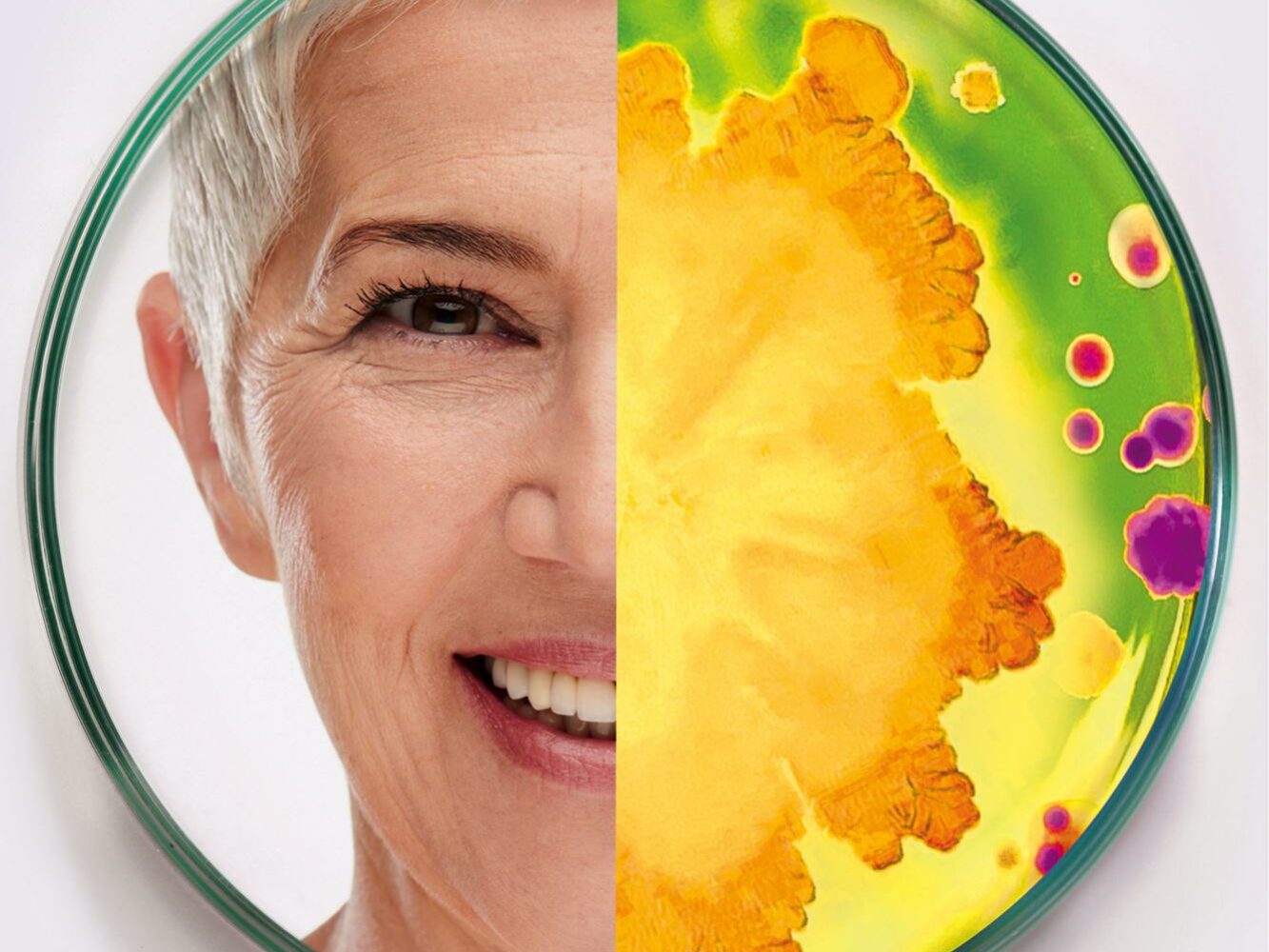 A split image inside a petri dish: one side shows a smiling older woman's face with short white hair and the other shows various colorful bacteria cultures, including yellow, green, and purple.