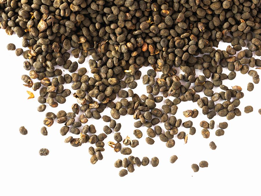 A scattered pile of small, dark brown chia seeds spread out on a white background, surrounding a bottle of Esse Bakuchiol Serum. Some of the seeds are clumped together while others are spread sporadically around the elegantly designed serum packaging. The seeds are oval-shaped with a slightly rough texture, providing a natural contrast to the sleek appearance of the Esse Bakuchiol Serum.